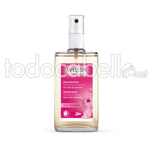 Weleda Rosa Mosqueta Desodorante 24h Eficacia Spray 100 Ml