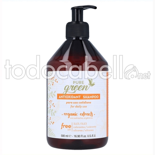 Shampoing antioxydant biologique Pure Green 500 ml