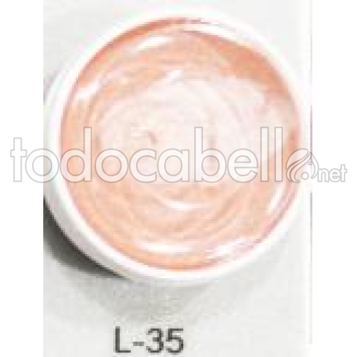 Remplacement de Paleta lèvres ref: L-35
