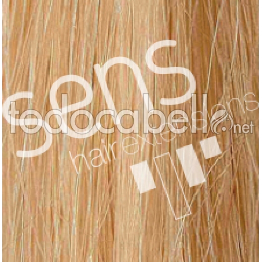 Extensions de cheveux 100% naturel Reny humain 90x50cm lisse Cousu nº24