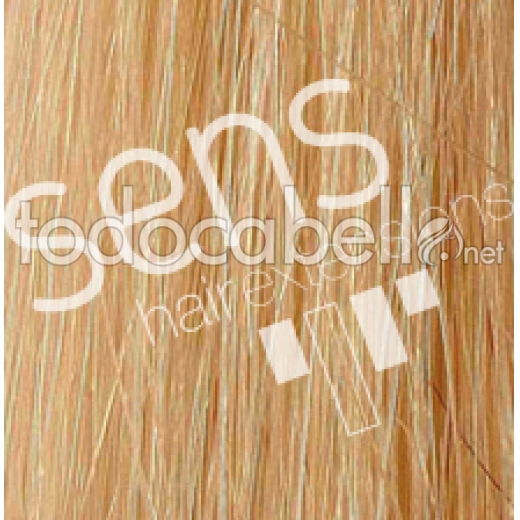 Extensions de cheveux 100% naturel Reny humain 90x50cm lisse Cousu nº9,3