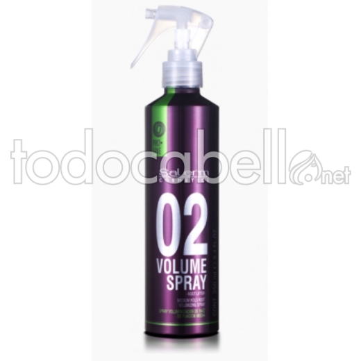 Pro.line Salerm Hair Spray Volume Volume et cheveux blancs blanchis 250ml