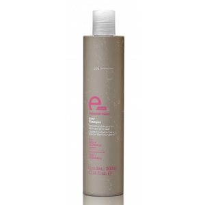 Eva Professional Grey Shampoo E-Line 300ml