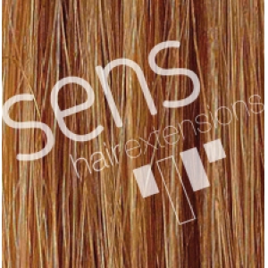 Extensions de cheveux 100% naturels humains Reny Cousu lisse 90x50cm No.15