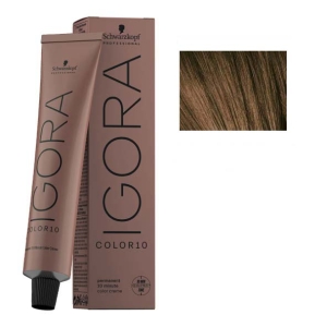 Tint Schwarzkopf Igora Color10 6-00 Blond foncé Natural Intense 60ml