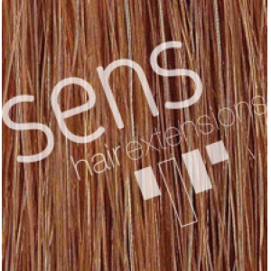 Extensions de cheveux 100% naturels humains Reny Cousu lisse 90x50cm No.10