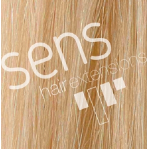 Extensions de cheveux 100% naturel Reny humain 90x50cm lisse Cousu Nº25