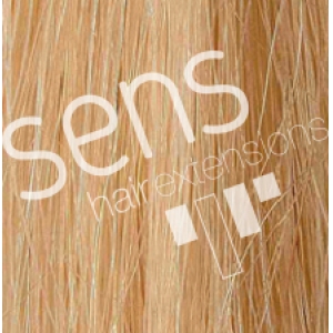 Extensions de cheveux 100% naturel Reny humain 90x50cm lisse Cousu nº24