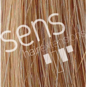 Extensions de cheveux 100% naturels humains Reny Cousu lisse 90x50cm nº23